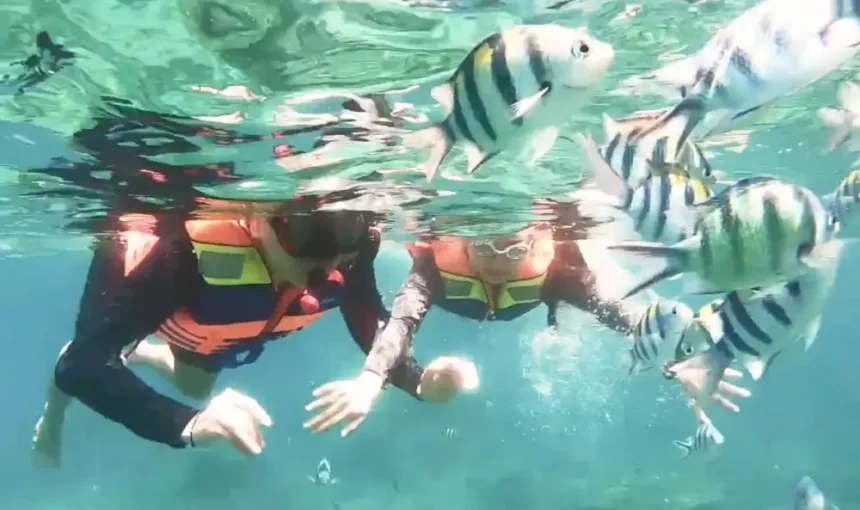 Snorkeling Belitung Terbaik Super Premium 2026 + Island Hopping & Pulau Lengkuas