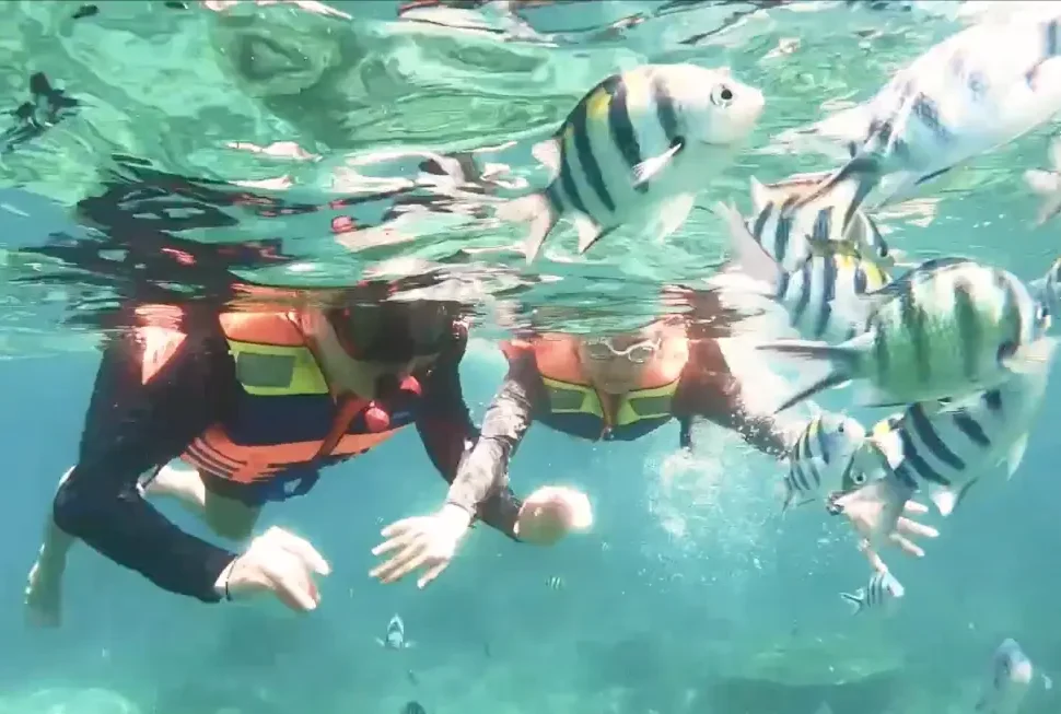 Snorkeling Belitung Terbaik 2026 + Island Hopping & Pulau Lengkuas